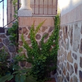 Jardinería Oubiña y Pecci diseño y floristería en Toledo