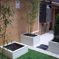 las rosas