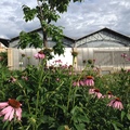 LeA atelier