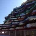Life Marina