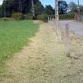 Limpieza de fincas
