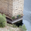 Limpieza Puente