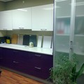 MORADO BLANCO