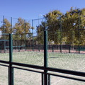 Multipista