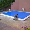 naquera 1