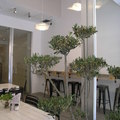 RESTAURANTE BEGREEN