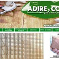 PAGINA WEB WWW.ADIREYCO.COM