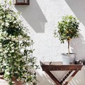 Patio 1