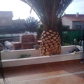 patio altafulla