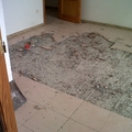 picando suelo