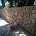 piedra2