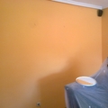 Pintura plastica