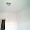 PINTURA 
