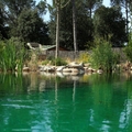 Piscina naturalizada Barcelona