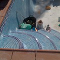 piscinas leal