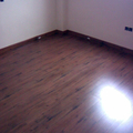 Piso, Estepa