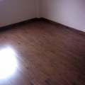 Piso, Estepa