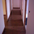 Piso, Estepa