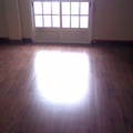 Piso, Estepa