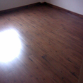 Piso, Estepa