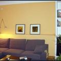 Pladur, Insonorizaciones, Tabiquería, Techos, Murales, Estanterías