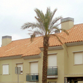 Promocion en Algeciras
