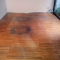 Antes