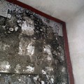 reforma en chalet