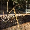 rehabilitar muro de piedras y ajardinar espacio