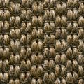 SAMBROSA BEIGE ANTIGUO 9104