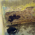 sanear pared