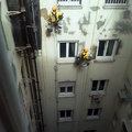 SEGUIMOS ENFOSCANDO