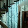 SUBIDA ESCALERA ESTAMPADO