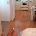 Suelos laminados antihumedad