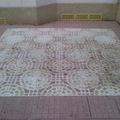terraza con moho