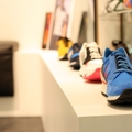 Trendy - Beri Estudio