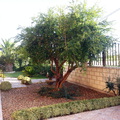 Vivienda en Marcilla, Entrada