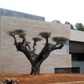 Vivienda en Urbanización Monasterios
