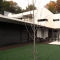 Vivienda Unifamiliar. Chalet