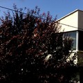 vivienda unifamiliar