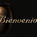 Bienvenido a un portal
