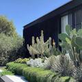 plantaciones