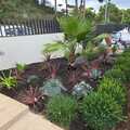 plantaciones