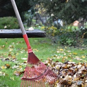 Limpieza de jardines