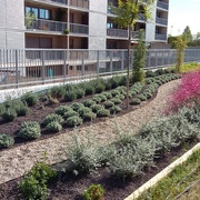Comunidad_Tres Cantos