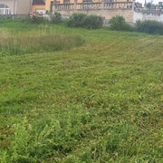 Limpieza de fincas