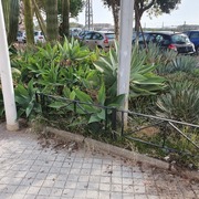 PUESTA A PUNTO DE JARDINERAS