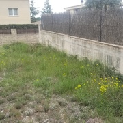 Antes