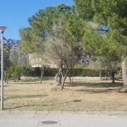 Vista completa de la parcela 1