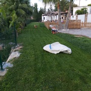 Mantenimiento de jardines y piscinas